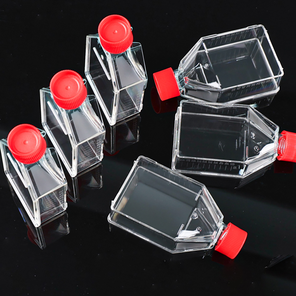 t25 cell culture flasks