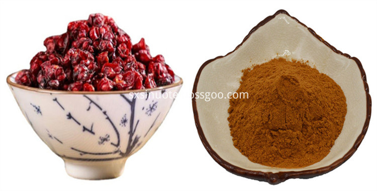 Schisandra Chinensis Extract Schisandra Chinensis Extract