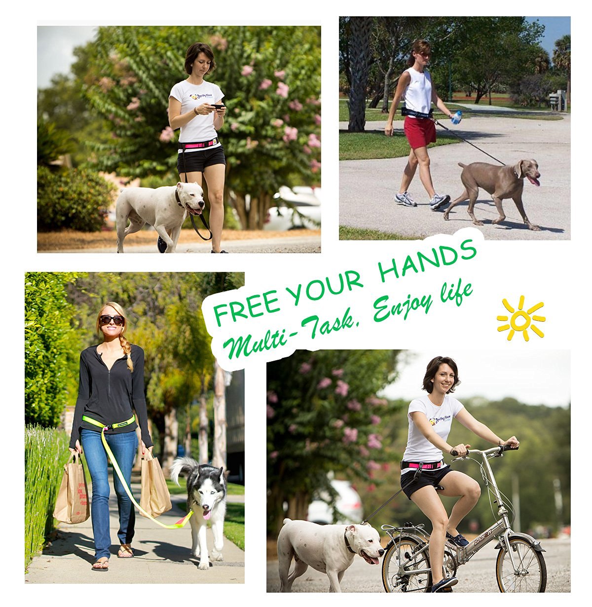 Latihan Leash Bungee Dog Training Leash Bungee Dog