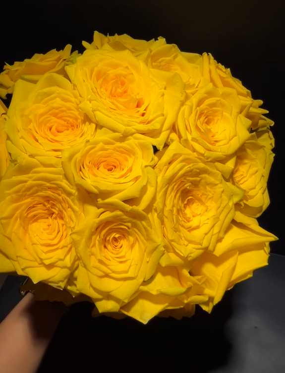 Golden Strike Rose Golden Strike Rose