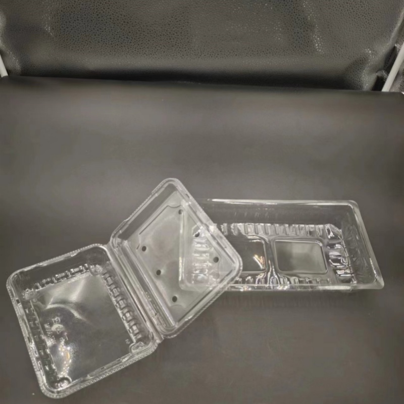 PET Food Tray-003 PET Food Tray-003
