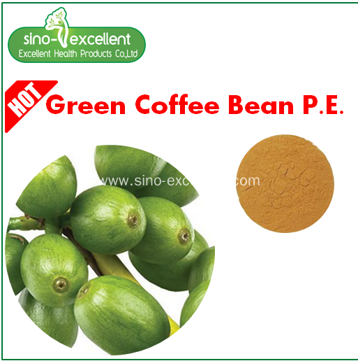 China chlorogenic acids Green coffee bean extract Manufacturers