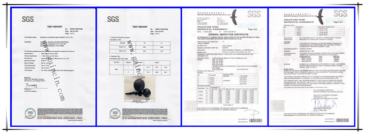 SGS TEST CERTIFICATE SGS TEST CERTIFICATE