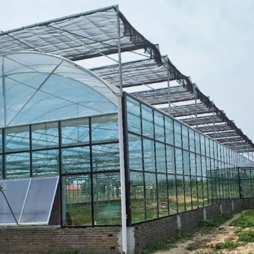 Arched Glass Greenhouse Arched Glass Greenhouse