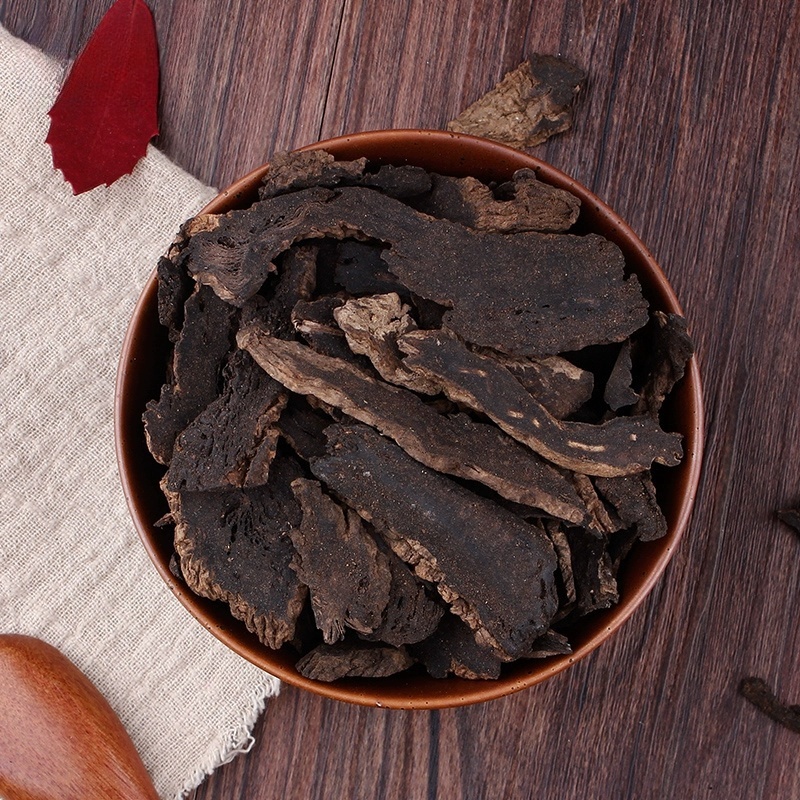 Figwort Root3 Figwort Root3