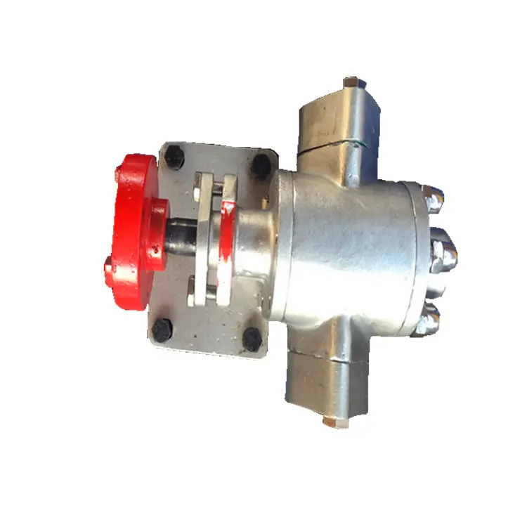 Stainless Steel Small Flow Gear Pump Equipment Supporting Oil Pump Stainless Steel Small Flow Gear Pump Equipment Supporting Oil Pump