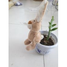 Upright ears cream-colored rabbit key chain