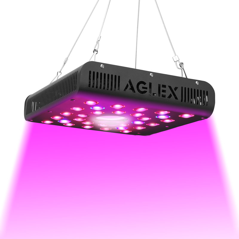 600W led grow light