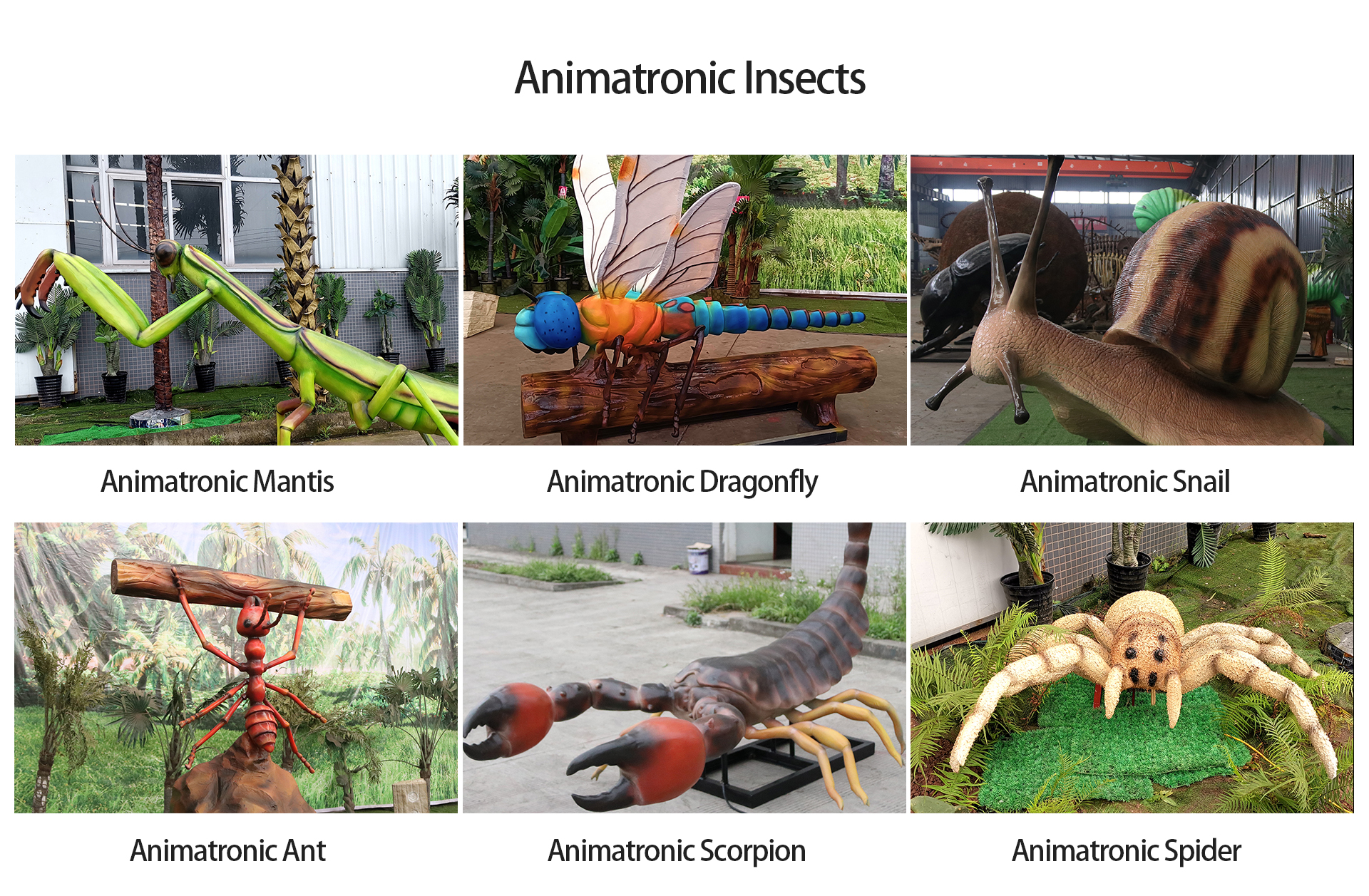 Animatronic Insects Animatronic Insects