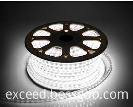 5050 LED Strip Light