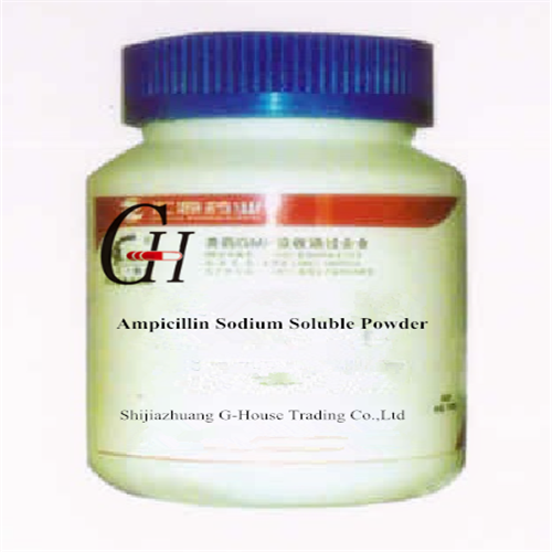 Ampicillin Sodium Salt Solubility