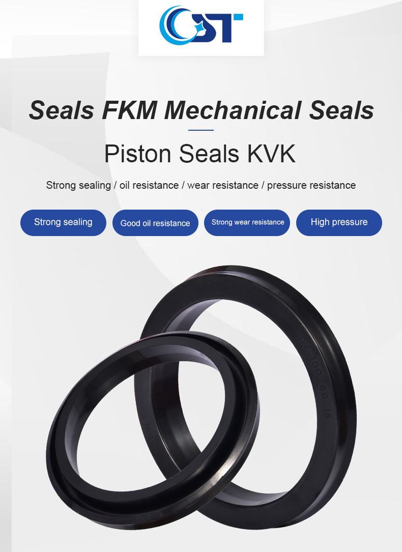 C2 Piston Seals Fkm C2 Piston Seals Fkm