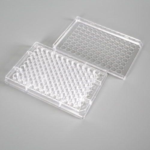 Best 96 Well Clear V-Bottom Cell Culture Plate,TC-Treated Manufacturer 96 Well Clear V-Bottom Cell Culture Plate,TC-Treated from China