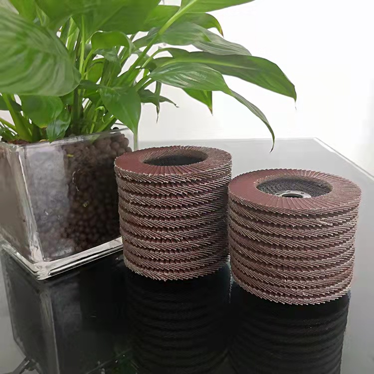 Flap Disc206 Flap Disc206