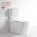 WaterMark  Rimless  Dual Flushing Toilet 