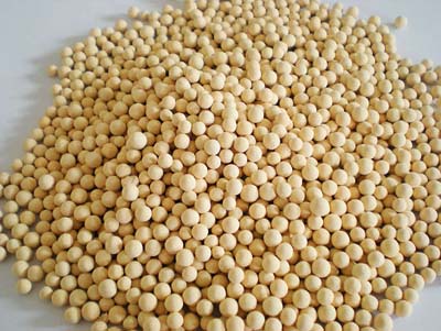 Molecular Sieves