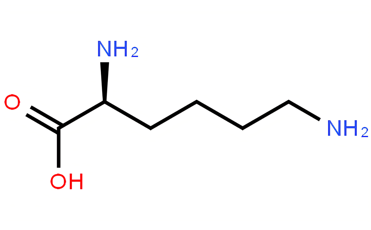 L-lysine (1) L-lysine (1)