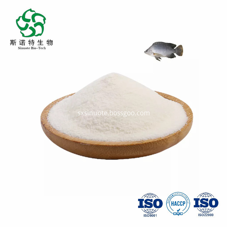 Fish Proteins Collagen Peptide Powder Fish Proteins Collagen Peptide Powder