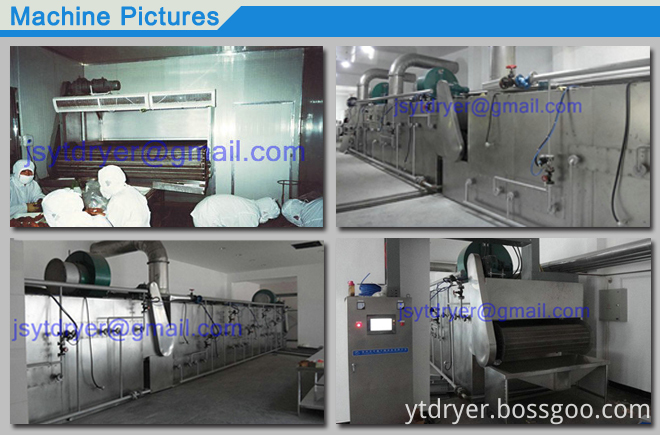 Walnuts Professional Drying Machine