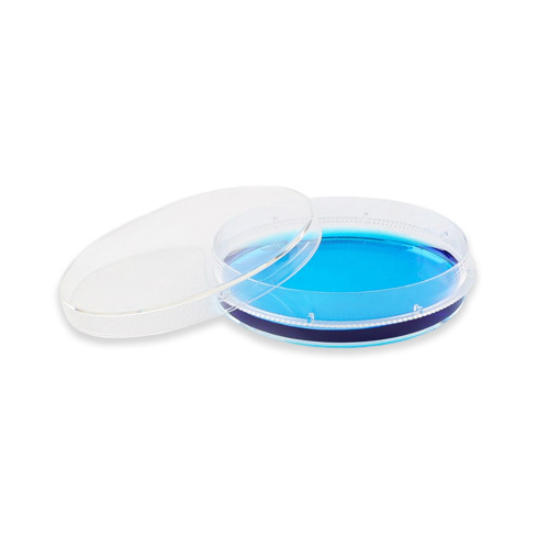 Best Disposable Plastic Culture Cell Bacteria Petri Dish Manufacturer Disposable Plastic Culture Cell Bacteria Petri Dish from China