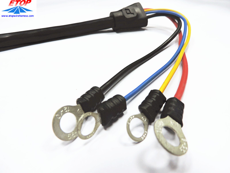 Molded cable with molded SR and ring terminal