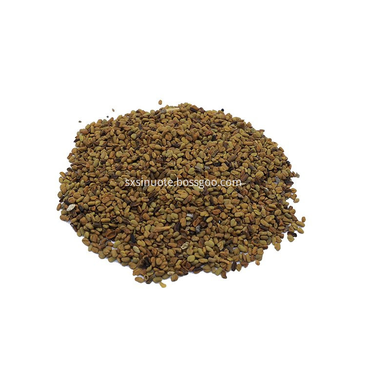 Fenugreek Seed Fenugreek Seed