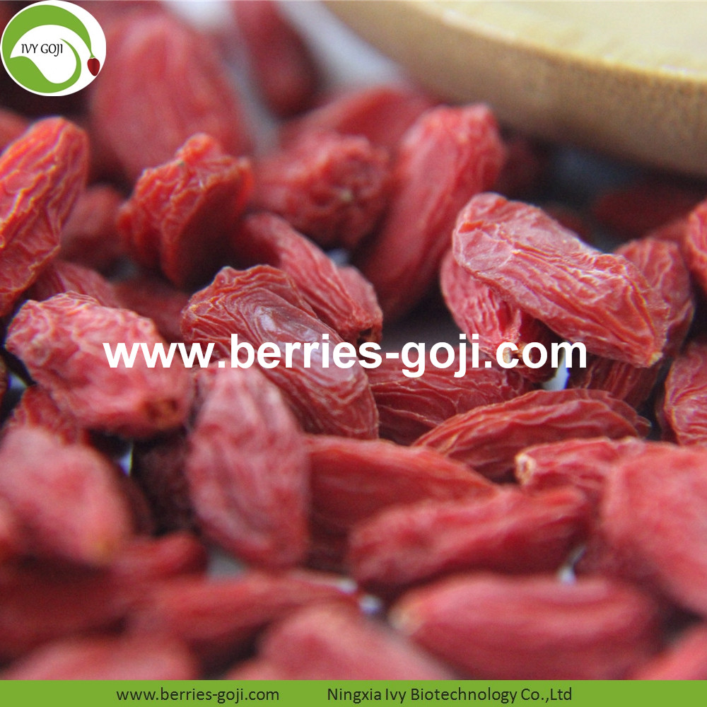 goji berry goji berry