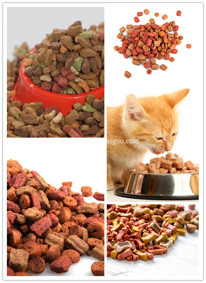 cat food