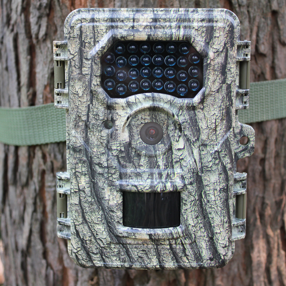 Wildlife Hunting Camera