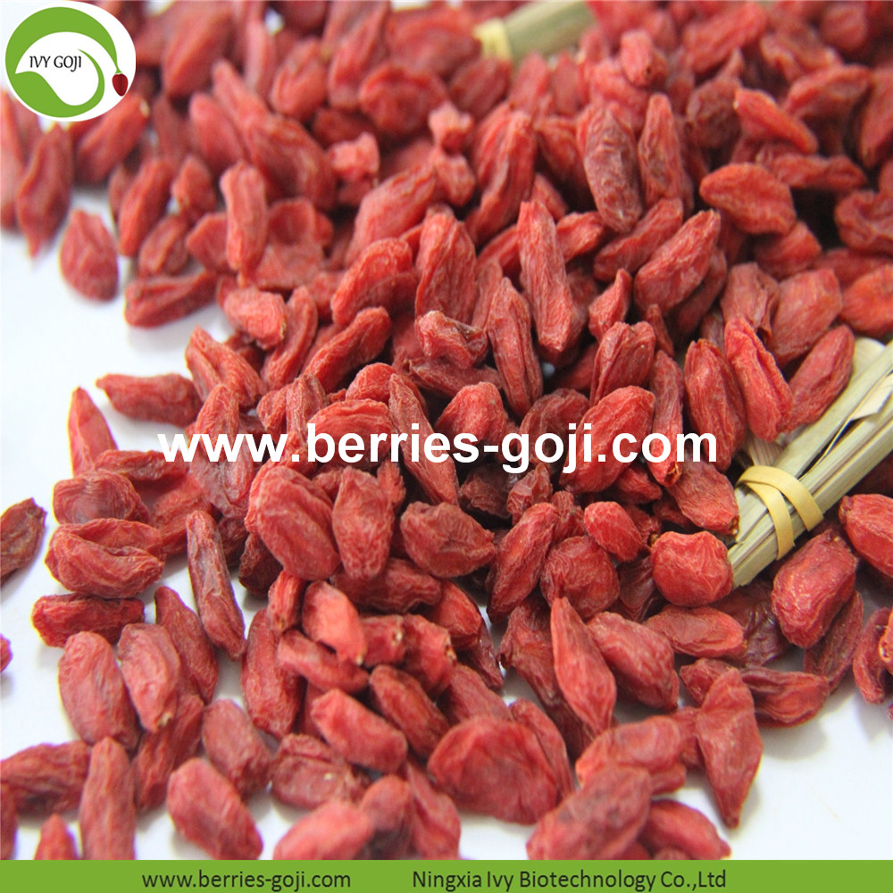 Goji meyvesi Goji meyvesi