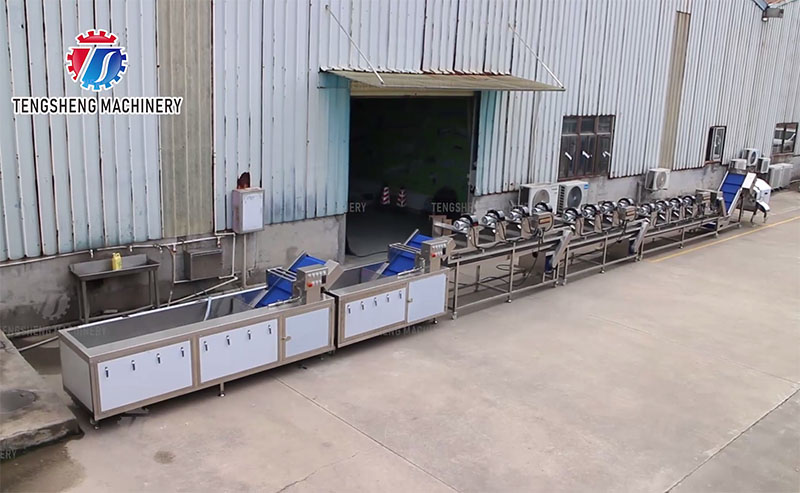 vegetable processing line vegetable processing line