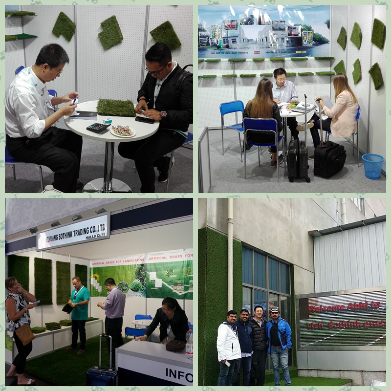 Artificial Grass Exhibition Shows