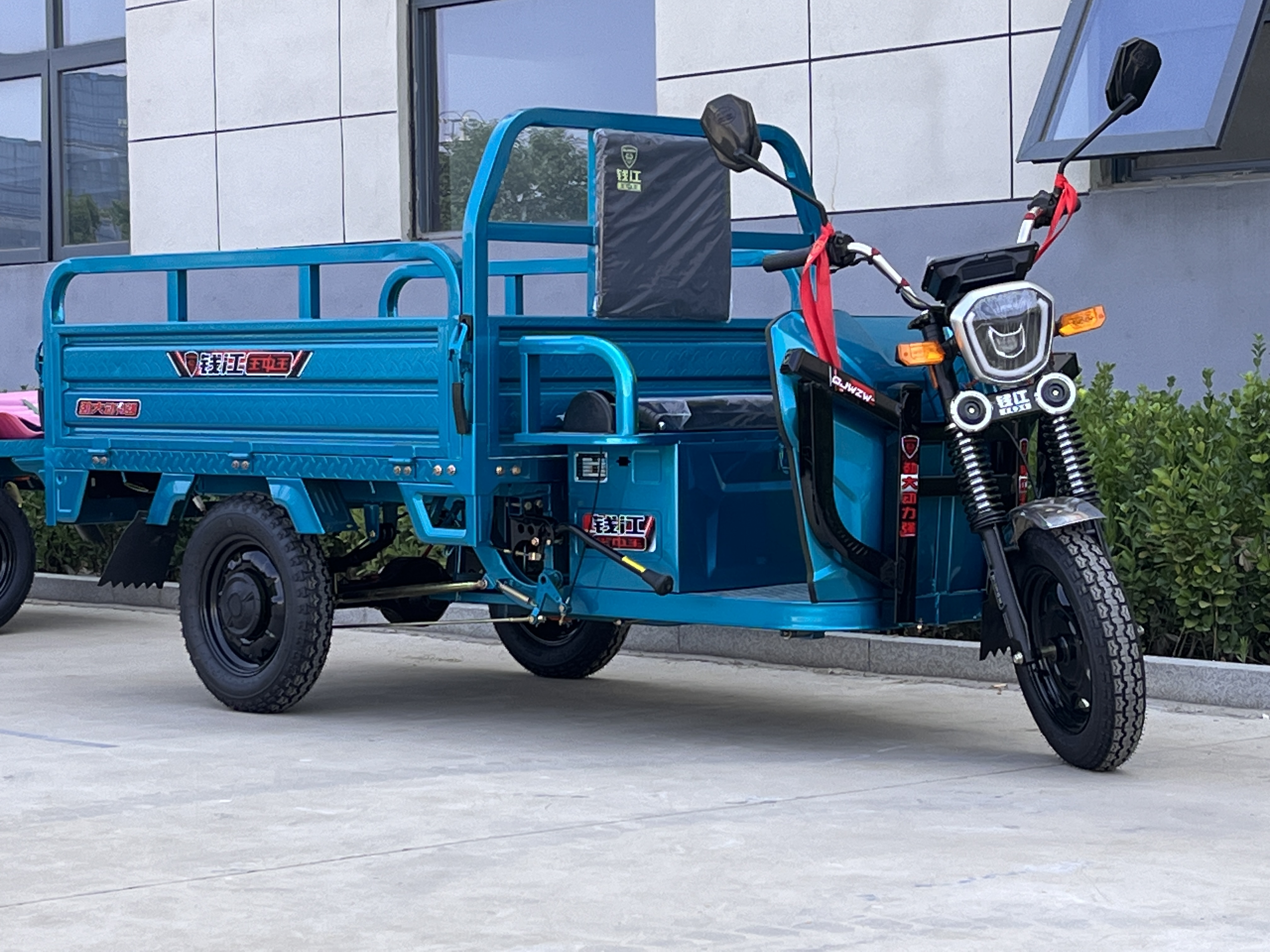 Electric Tricycle With Steel Bottom Electric Tricycle With Steel Bottom