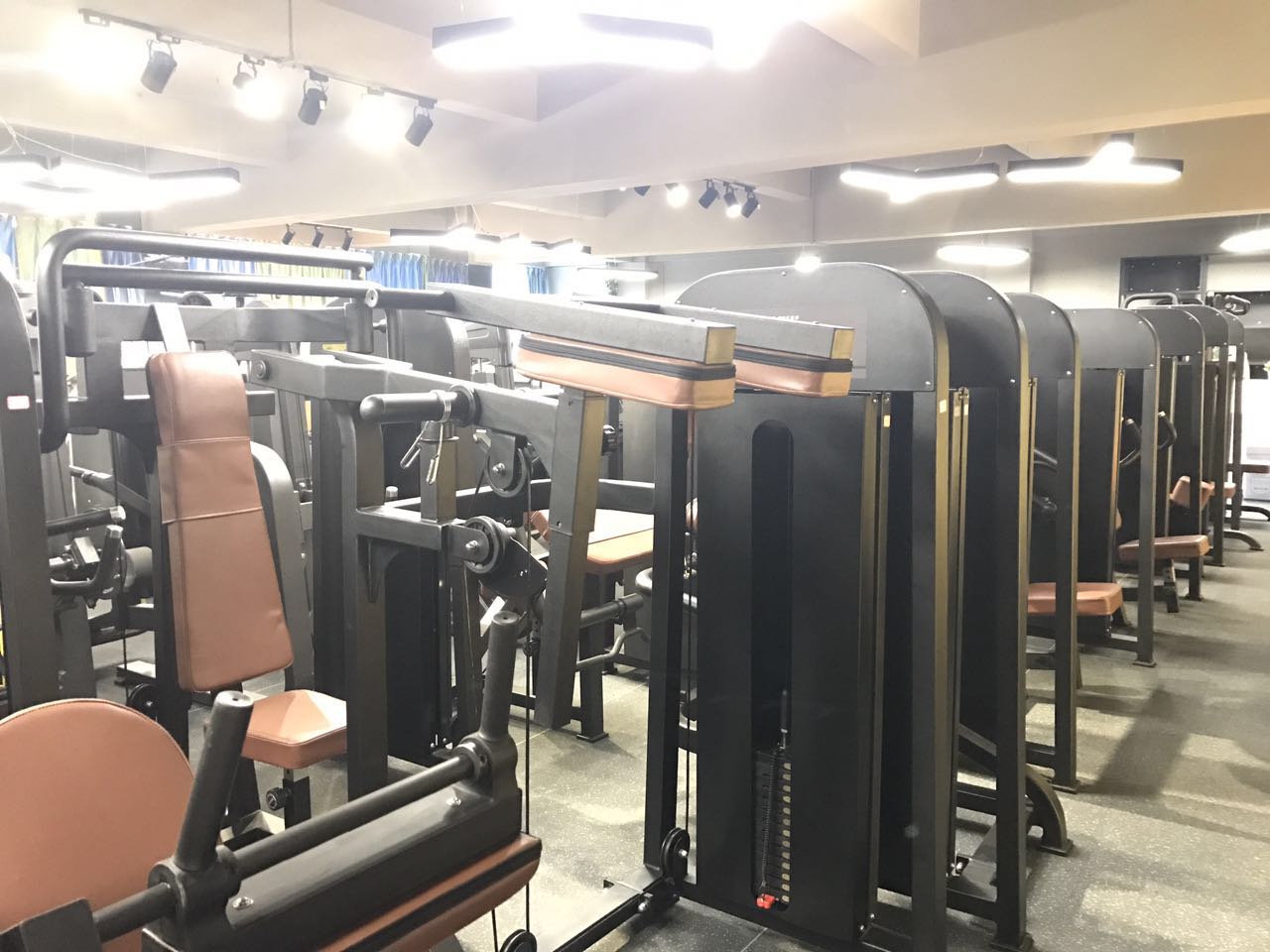 physical fitness equipment
