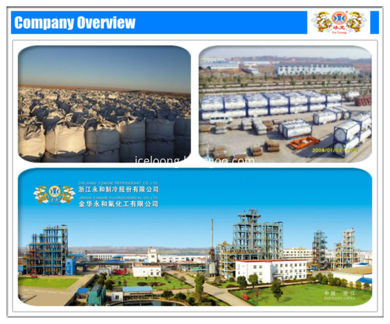 Company Overview