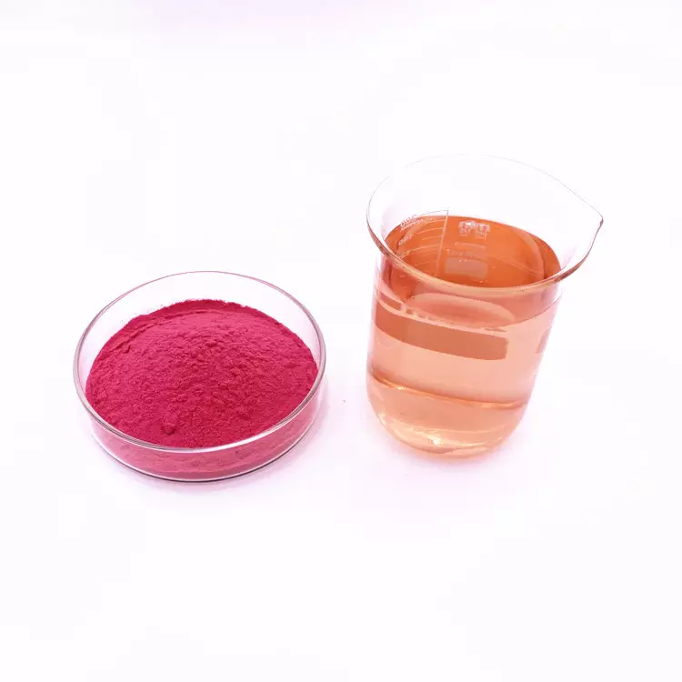 Freeze dried maqui berry powder Freeze dried maqui berry powder
