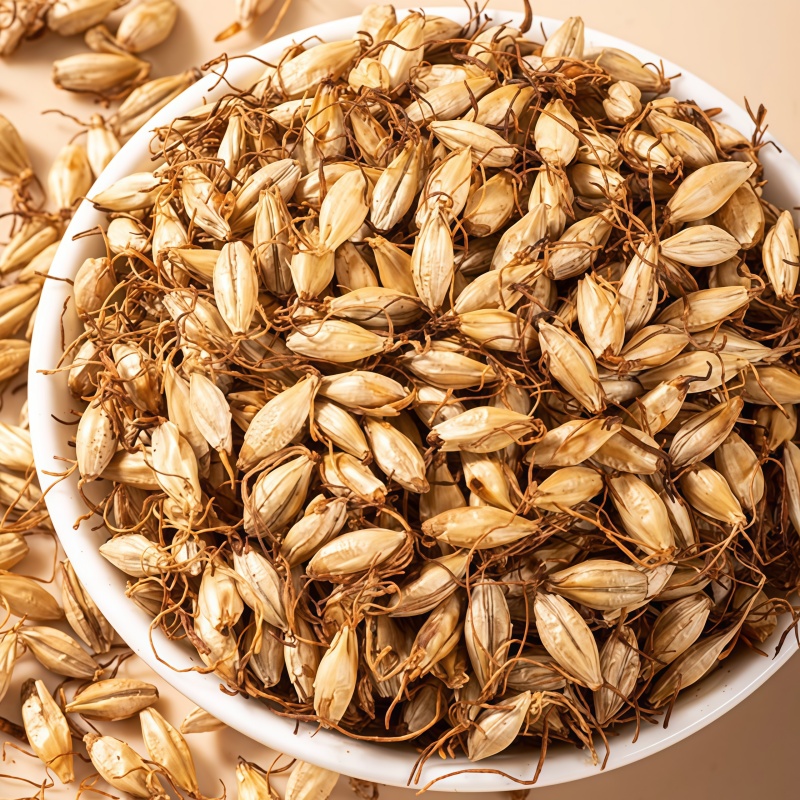 Malt3 Malt3
