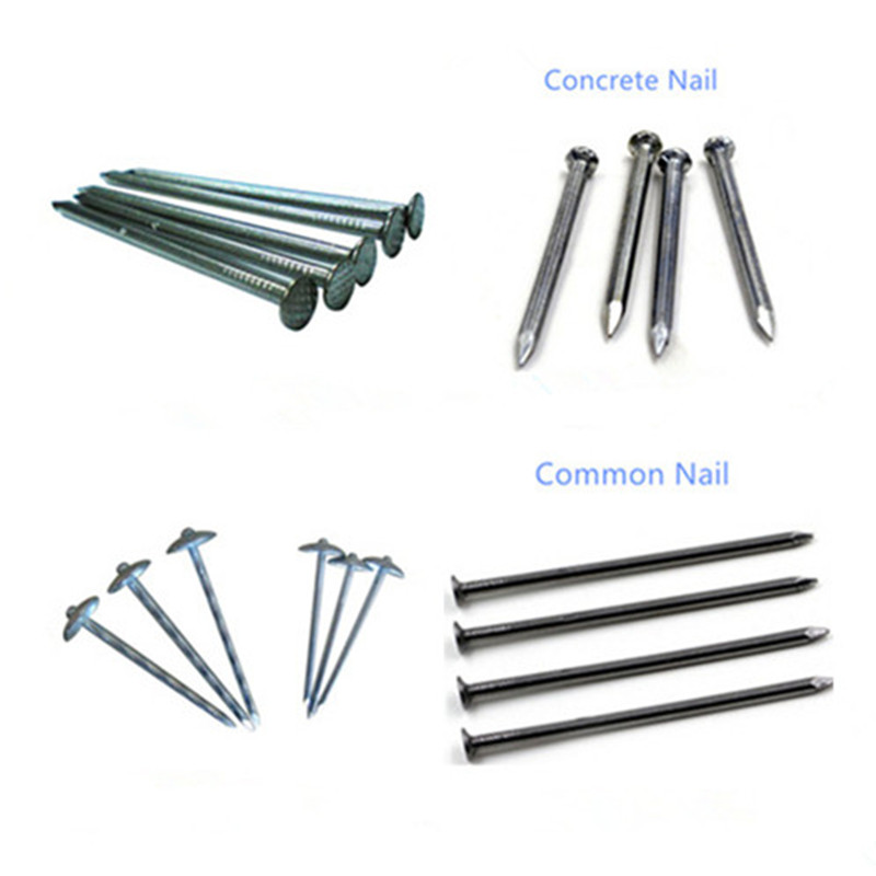 common nail 