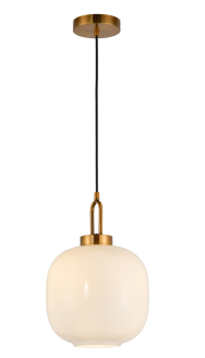 Luz de techo de sombra de hierro Iron Shade Ceiling Light