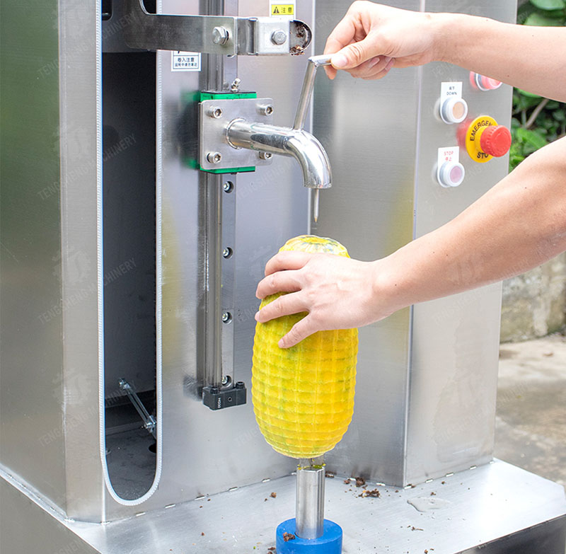 papaya peeling machine papaya peeling machine