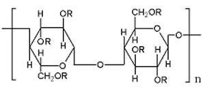 hydroxypropyl methylcellulose