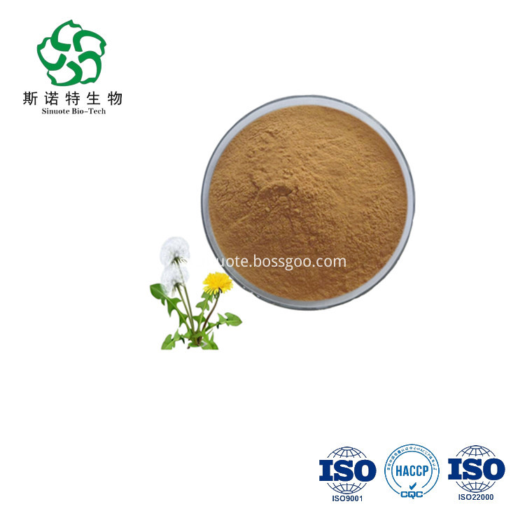 Dandelion Leaf Powder Dandelion Leaf Powder