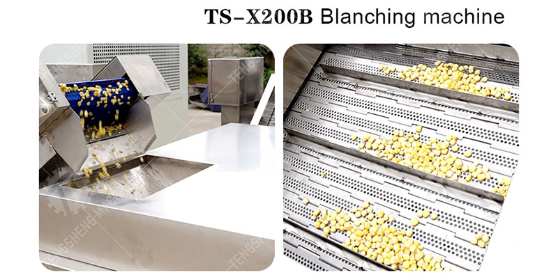 vegetable blanching machine vegetable blanching machine