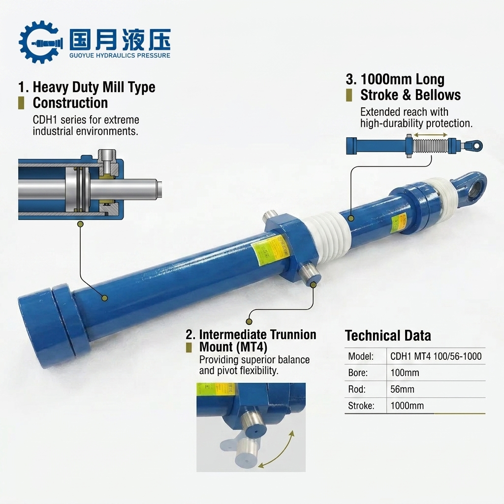 CDH1 MT4 100 56-1000 CDH1 MT4 100 56-1000