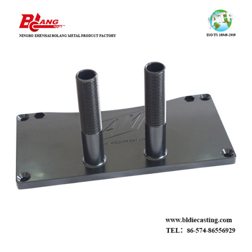 Quality Aluminum Die Casting Housing of Pivot Side for Sale