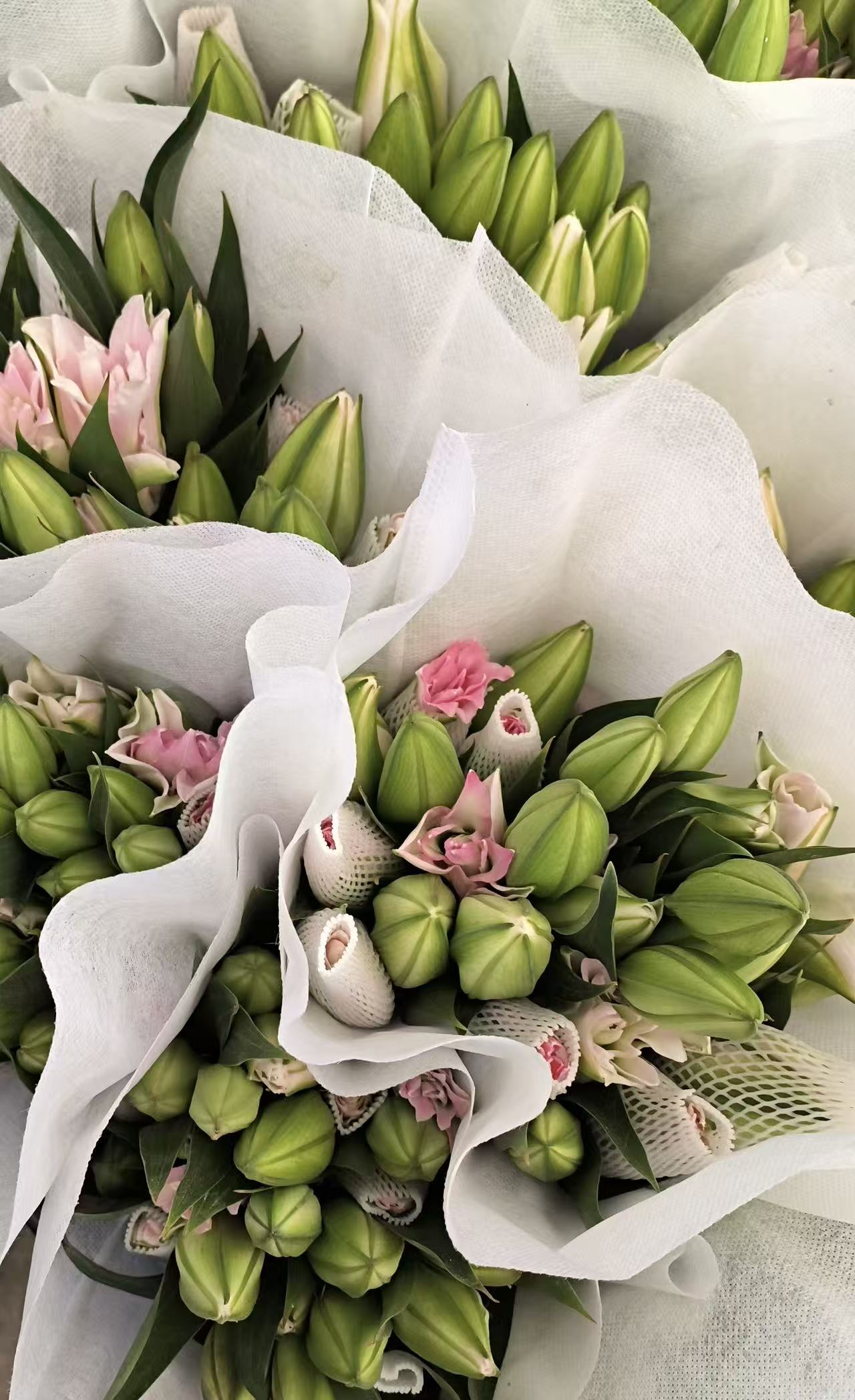 Red Ribbon Double Spray Lily Red Ribbon Double Spray Lily