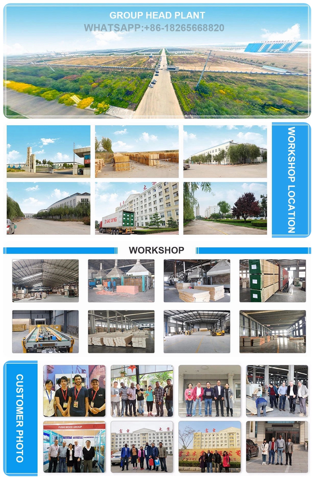 Company Profile 16 Company Profile 16