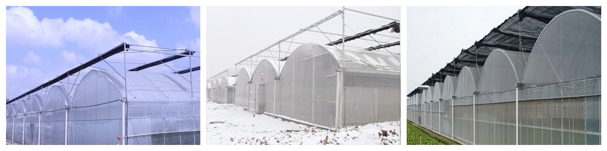 adding an external shade net adding an external shade net