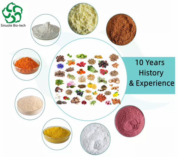 10 Years Plant Extract Facory 10 Years Plant Extract Facory