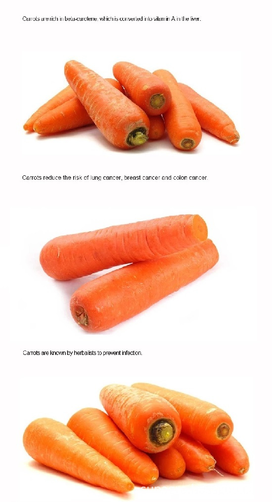 High Quality Carrot